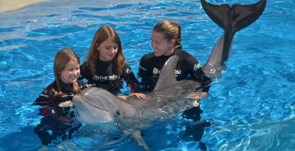 Dolphin World Panama City Beach Florida Dolphin World Panama City Beach Florida